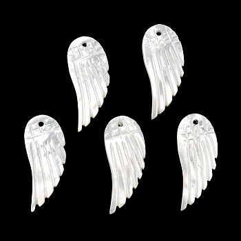 Natural White Shell Pendants, Angel Wing Charms, WhiteSmoke, 25x10x2.5mm, Hole: 1.2mm
