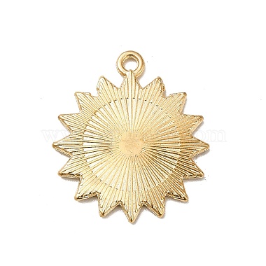 Pendentifs d'émail en alliage(PALLOY-K253-05G)-2