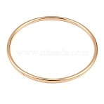 Iron Bag Handles, Ring, Bag Replacement Accessories, Light Gold, 11x0.45cm, Inner Diameter: 10cm, 2pcs/set(X-PURS-PW0001-365B-LG)