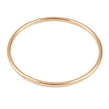 Iron Bag Handles, Ring, Bag Replacement Accessories, Light Gold, 11x0.45cm, Inner Diameter: 10cm, 2pcs/set