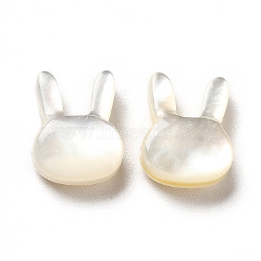Natural White Shell Beads(SHEL-G014-12)-2