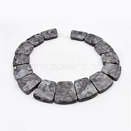 Natural Larvikite Graduated Bead Strands, Trapezoid, 16~34x23~28x5~6mm, Hole: 1mm, about 15pcs/strand, 12.2 inch(G-P296-F01)