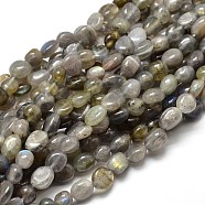 Natural Labradorite Nuggets Beads Strands, Tumbled Stone, 5~10x6~7x3~7mm, hole: 1mm, about 14.9 inch~15.7 inch(G-J335-40)