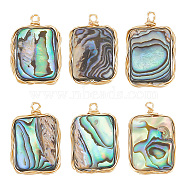 6Pcs Natural Abalone Shell/Paua Shell Pendants, Copper Wire Wrapped Rectangle Charms, Real 14K Gold Plated, 22.5x14.5x3.5mm, Hole: 1.5mm(KK-AR0003-46)