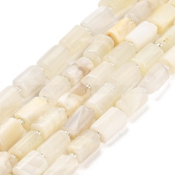 Natural White Moonstone Beads Strands, with Seed Beads, Faceted Column, 9~11x6~7.5x6~7.5mm, Hole: 1.2mm, about 30pcs/strand, 15.16~15.55 inch(38.5~39.5cm)(G-G068-A36-01)