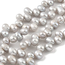 Dyed Natural Cultured Freshwater Pearl Beads Strands, Top Drilled, Rice, Gainsboro, 6~7mm, Hole: 0.6mm, about 35pcs/strand, 7.09 inch(18cm)(PEAR-A006-28B)