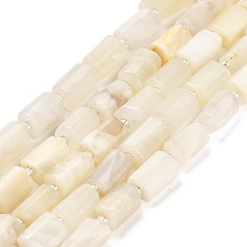 Natural White Moonstone Beads Strands, with Seed Beads, Faceted Column, 9~11x6~7.5x6~7.5mm, Hole: 1.2mm, about 30pcs/strand, 15.16~15.55 inch(38.5~39.5cm)