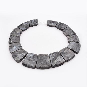 Natural Larvikite Graduated Bead Strands, Trapezoid, 16~34x23~28x5~6mm, Hole: 1mm, about 15pcs/strand, 12.2 inch