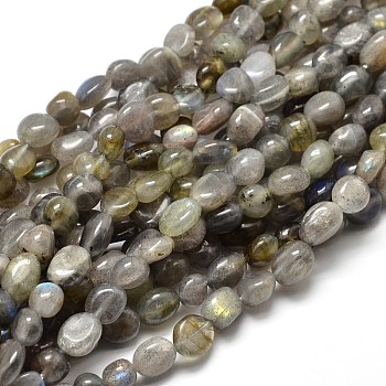 Natural Labradorite Nuggets Beads Strands, Tumbled Stone, 5~10x6~7x3~7mm, hole: 1mm, about 14.9 inch~15.7 inch