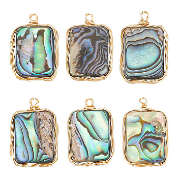 6Pcs Natural Abalone Shell/Paua Shell Pendants, Copper Wire Wrapped Rectangle Charms, Real 14K Gold Plated, 22.5x14.5x3.5mm, Hole: 1.5mm