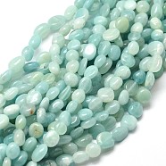 Natural Amazonite Nuggets Beads Strands, Tumbled Stone, 5~10x6~7x3~7mm, hole: 1mm, about 14.9 inch~15.7 inch(G-J335-31)