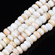 Natural Trochid Shell/Trochus Shell Beads Strands, Undyed, Flat Round, 5~10x1~7mm, Hole: 1mm, about 94~116pcs/strand, 14.96 inch~15.94 inch(38cm~40.5cm)(SHEL-S258-081-A01)