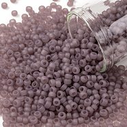 TOHO Round Seed Beads, Japanese Seed Beads, Frosted, (151F) Ceylon Frost Grape Mist, 8/0, 3mm, Hole: 1mm, about 222pcs/bottle, 10g/bottle(SEED-JPTR08-0151F)