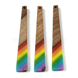 Pride Rainbow Theme Resin & Walnut Wood Pendants, Trapezoid, Colorful, 69.5x10x3.5mm, Hole: 2mm(WOOD-K012-10A)