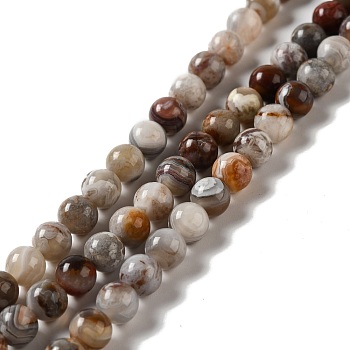 Natural Mexican Lace Agate Beads Strands, Round, 6.5mm, Hole: 1mm, about 62pcs/strand, 15.55''(39.5cm)