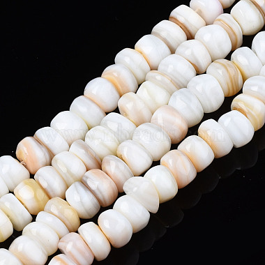 Flat Round Trochus Shell Beads