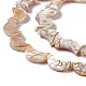 Drawbench Style Natural Freshwater Shell Beads Strands(X-SHEL-F003-05)-4
