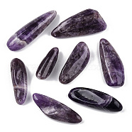 Natural Amethyst Big Pendants, Nuggets Charms, 41.5~68x15.5~29x11.5~20mm, Hole: 1.8mm(G-T130-15)