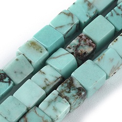Natural Howlite Beads Strands, Cube, Dyed & Heated, Turquoise, 4x4x4mm, Hole: 0.7mm; about 85~88pcs/strand, 14.9 inches(38cm)(TURQ-L030-03A)