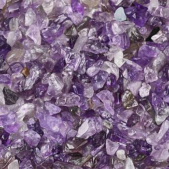 Natural Amethyst Chip Beads, No Hole/Undrilled, 3~9x1~4mm
