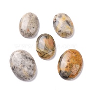 Natural Crazy Agate Cabochons, Oval, 25~30x15~22x6~8mm(G-P468-16B-02)