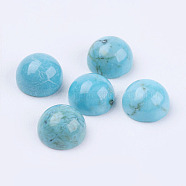Natural Howlite Cabochons, Dyed, Half Round, Sky Blue, 6x4mm(X-TURQ-L028-05-6mm)