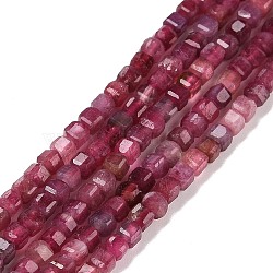 Natural Red Tourmaline Beads Strands, Faceted, Cube, 2.5x2.5x2.5mm, Hole: 0.5mm, about 186~188pcs/strand, 15.16~15.35 inch(38.5~39cm)(G-C009-B22)