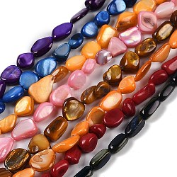 Natural Freshwater Shell Dyed Beads Strands, Nuggets, Mixed Color, 8~12x3.5~9x3~5mm, Hole: 0.5mm, about 43pcs/strand, 15.67''(39.8cm)(SHEL-K009-14)