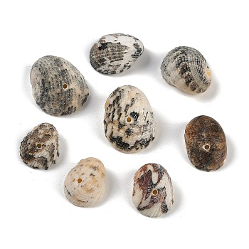 Natural Shell Beads, Shell Shape, Top Drilled, Gray, 16~22x13~17x8~13mm, Hole: 1.5mm, about 324pcs/500g