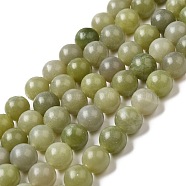 Natural Jade Beads Strands, Round, 10mm, Hole: 0.8mm, about 36pcs/strand, 14.96''(38cm)(G-K340-A02-03)