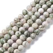Natural Peace Jade Beads Strands, Round, 6mm, Hole: 1mm, about 59~60pcs/strand, 15.16~15.35 inch(38.5~39cm)(G-G905-07-6MM)