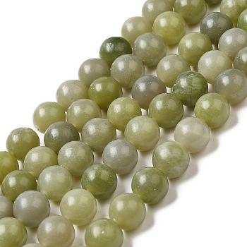 Natural Jade Beads Strands, Round, 10mm, Hole: 0.8mm, about 36pcs/strand, 14.96''(38cm)