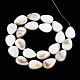 Natural White Shell Beads Strands(PBB263Y-1)-4