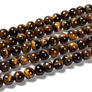 Grade AB Natural Tiger Eye Round Beads Strands, 8~8.5mm, Hole: 1mm, about 47pcs/strand, 15.5 inch(X-G-E334-8mm-17)