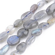 Natural Labradorite Beads Strands, Tumbled Stone, Nuggets, 5~13x5~10x3~8mm, Hole: 1mm, about 40~60pcs/strand, 14.57 inch~15.74 inch(37~40cm)(G-S359-139)