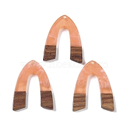 Resin & Wood Pendants, Arch Charms, Light Salmon, 37.5x28.5x3.5mm, Hole: 2mm(WOOD-F015-16E)