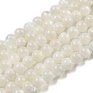 Natural Freshwater Shell Beads Strands, Round, 3mm, Hole: 0.6~0.8mm, about 126pcs/strand, 14.96''(38cm)(BSHE-Z005-02)