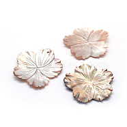 Shell Pendants, Flower, 37~38x1~2mm, Hole: 1.5mm(SSHEL-E564-36A)