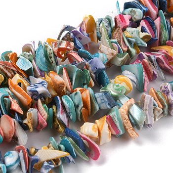 Natural Spiral Shell Beads, Chips, Colorful, 9~22x9~22x1mm, Hole: 1.2mm, about 243pcs/strand, 15.75 inch (40cm)