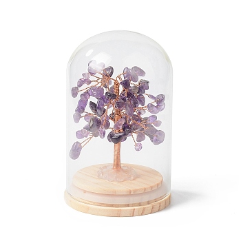 Natural Amethyst Chips Money Tree in Dome Glass Bell Jars with Wood Base Display Decorations, for Home Office Decor Good Luck, 71x114mm