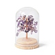 Geldbaum aus natürlichen Amethystsplittern in gewölbten Glasglocken mit Holzsockel als Dekoration(DJEW-B007-04G)-1