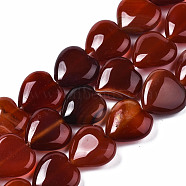 Natural Red Agate Beads Strands, Heart, 14~15x14~15x5~7mm, Hole: 1.2mm, about 26pcs/strand, 14.76 inch(37.5cm)(X-G-S364-097)