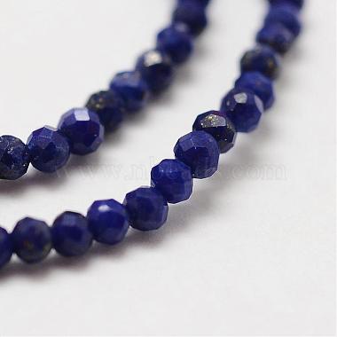 Natural Lapis Lazuli Bead Strands(G-P270-2mm-19)-4