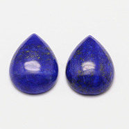 Dyed Teardrop Natural Lapis Lazuli Cabochons, 18x13x6mm(G-K026-02)