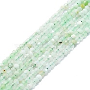 Natural Chrysoprase Beads Strands, Faceted, Round, 2mm, Hole: 0.5mm, about 215pcs/strand, 15.16''~15.55''(38.5~39.5cm)(G-P457-A01-23)