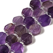 Natural Amethyst Beads Strands, Hexagon, with Seed Beads, 8.5~9x8.5~10x4~5mm, Hole: 1mm, about 37~38pcs/strand, 15.55''~15.75''(39.5~40cm)(G-P534-A13-02)