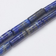 Natural Lapis Lazuli Beads Strands, Tube, 13~14x3.5~5mm, Hole: 1mm, about 29pcs/strand, 15.1~15.7 inch(385~400mm)(X-G-G968-F04)