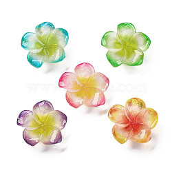 Opaque Resin Cabochons, Flowers, Mixed Color, 24x25x8mm(RESI-R455-01F)