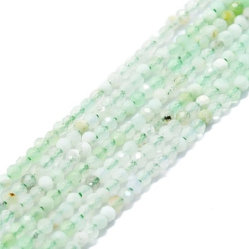 Natural Chrysoprase Beads Strands, Faceted, Round, 2mm, Hole: 0.5mm, about 215pcs/strand, 15.16''~15.55''(38.5~39.5cm)