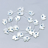 Natural White Shell Mother of Pearl Shell Beads, with Natural Turquoise, Elephant, Deep Sky Blue, 9x12x2mm, Hole: 0.5mm(SSHEL-N036-009)